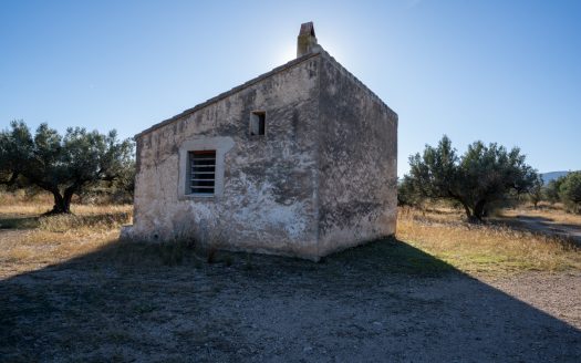 Petita masia per a reformar (295)