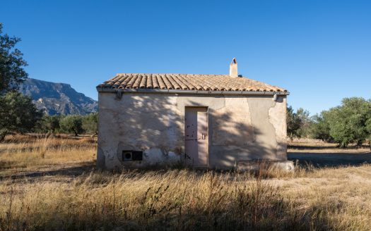 Petita masia per a reformar (295)