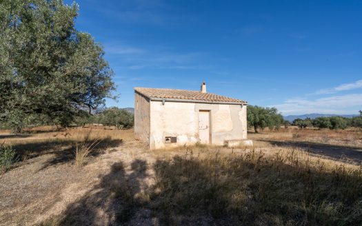 Petita masia per a reformar (295)