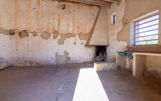 Petita masia per a reformar (295)