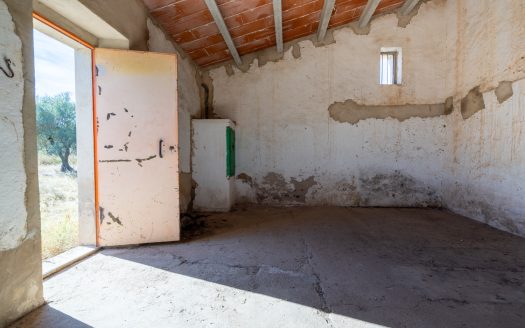 Petita masia per a reformar (295)