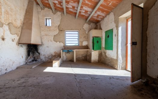 Petita masia per a reformar (295)