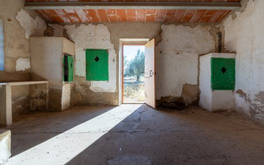 Petita masia per a reformar (295)