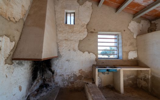 Petita masia per a reformar (295)