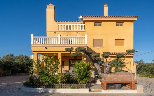 Spacious olive estate with two large homes (302)