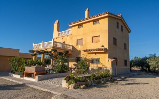 Spacious olive estate with two large homes (302)