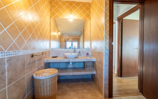 Spacious olive estate with two large homes (302)