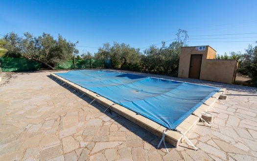 Spacious olive estate with two large homes (302)