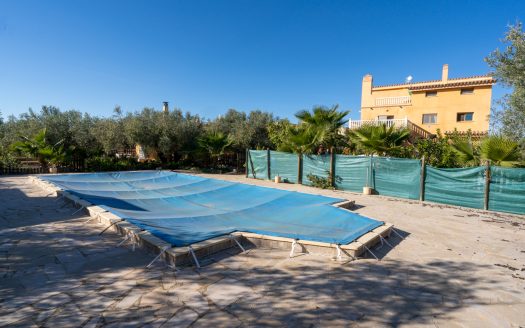 Spacious olive estate with two large homes (302)