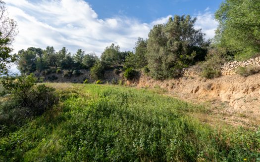Finca amb vistes i aigua de pou (307)