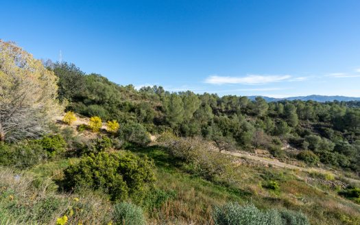 Finca amb vistes i aigua de pou (307)