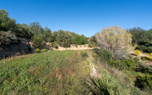 Finca amb vistes i aigua de pou (307)