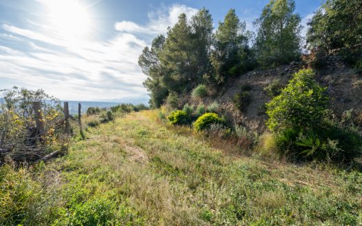Finca amb vistes i aigua de pou (307)