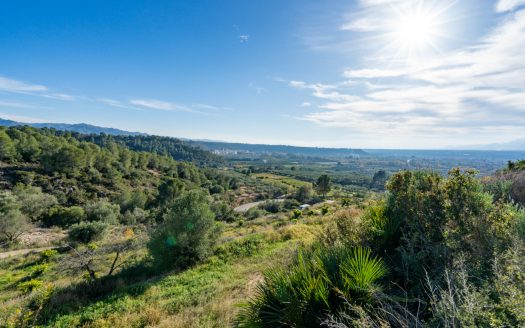 Finca amb vistes i aigua de pou (307)