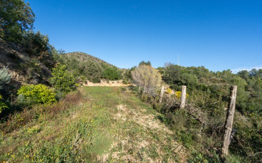 Finca amb vistes i aigua de pou (307)