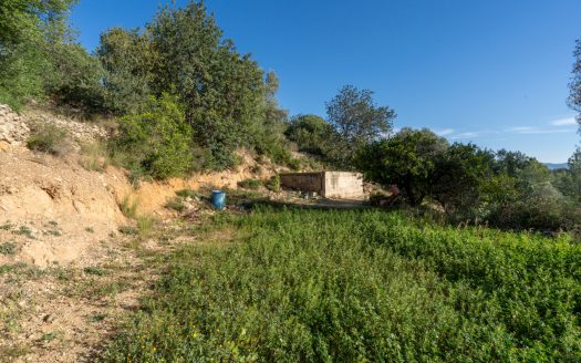 Finca amb vistes i aigua de pou (307)