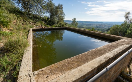Finca amb vistes i aigua de pou (307)