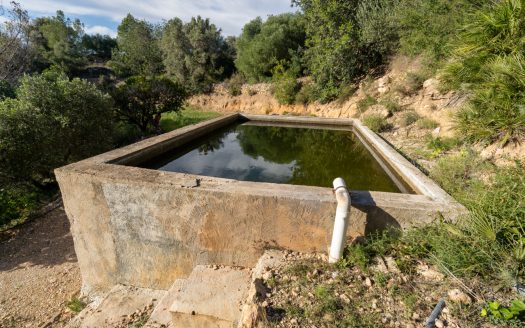 Finca amb vistes i aigua de pou (307)