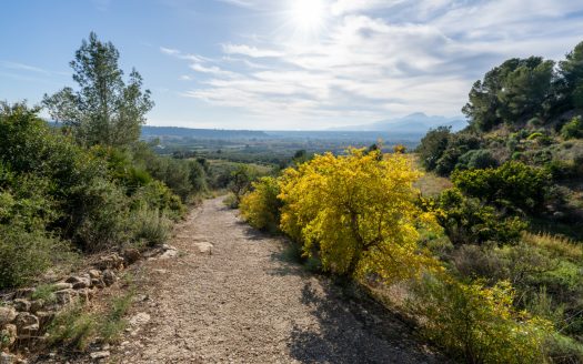 Finca amb vistes i aigua de pou (307)