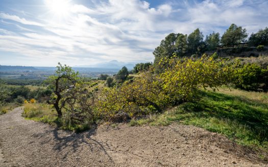 Finca amb vistes i aigua de pou (307)