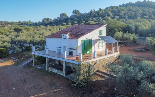 Ideal per a una vida al camp (319)