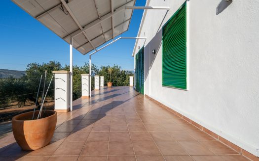 Ideal per a una vida al camp (319)
