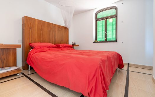 Ideal per a una vida al camp (319)