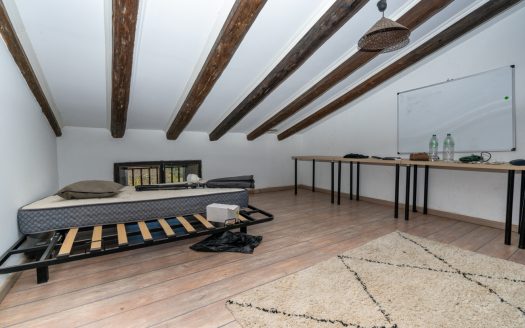Farmhouse near the Ebro River (318)