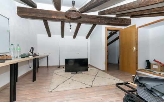 Farmhouse near the Ebro River (318)