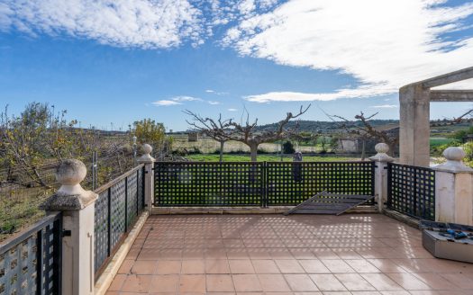 Farmhouse near the Ebro River (318)