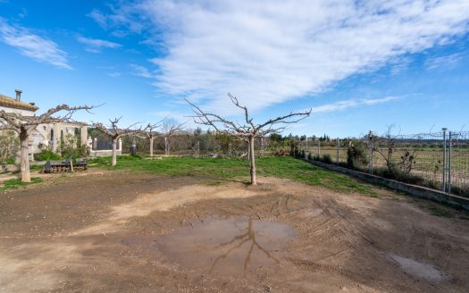 Farmhouse near the Ebro River (318)