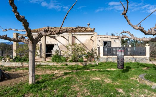 Farmhouse near the Ebro River (318)