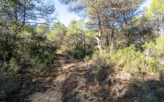 In the heart of the natural park (326)