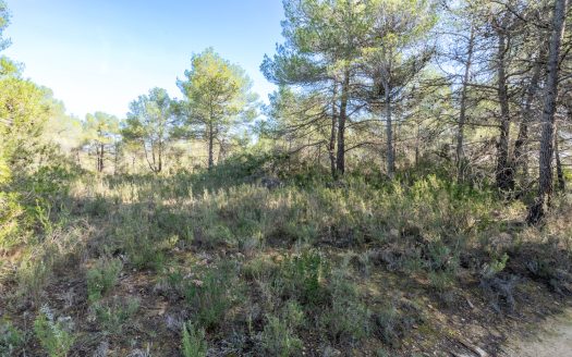 In the heart of the natural park (326)
