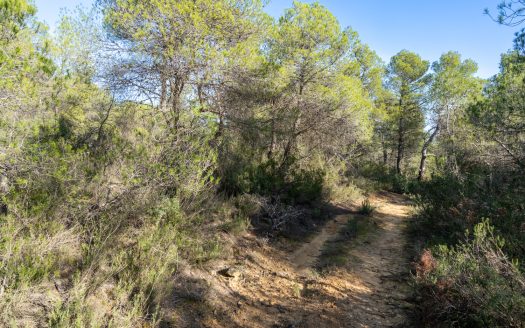 In the heart of the natural park (326)
