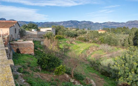 Infinitat d’opcions (323)