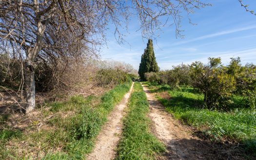 Huerto cerca del río Ebro (330)
