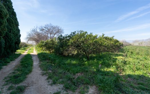 Huerto cerca del río Ebro (330)