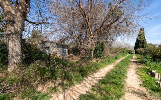 Huerto cerca del río Ebro (330)