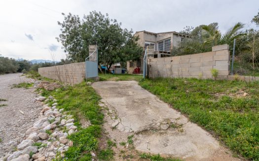 Un projecte inacabat (334)