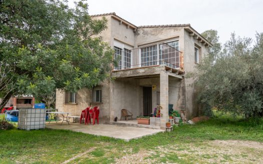 Un projecte inacabat (334)