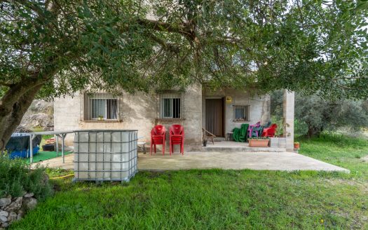 Un projecte inacabat (334)
