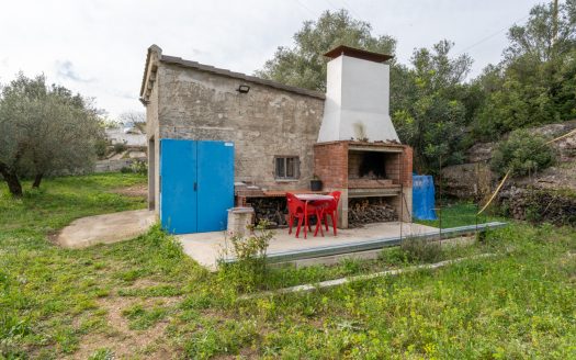 Un projecte inacabat (334)