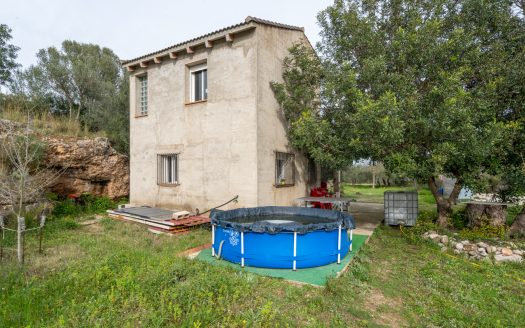 Un projecte inacabat (334)