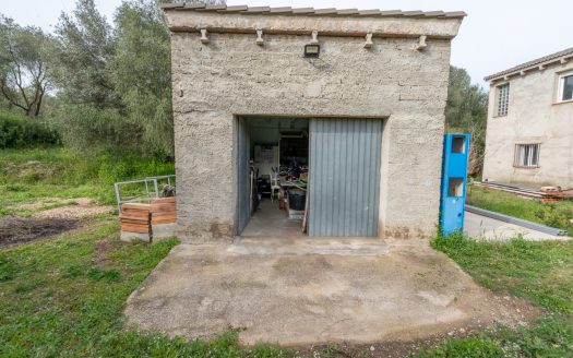 Un projecte inacabat (334)