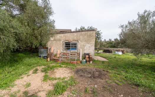 Un projecte inacabat (334)