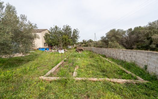 Un projecte inacabat (334)