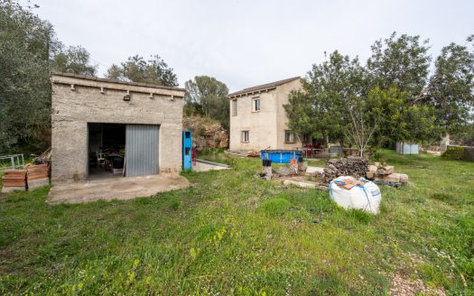 Un projecte inacabat (334)