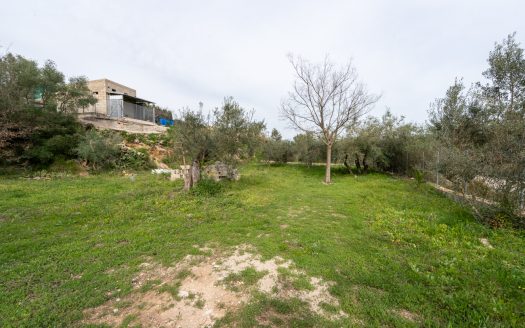 Un projecte inacabat (334)