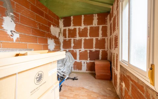 Un projecte inacabat (334)